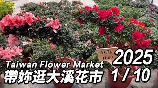 帶妳逛桃園大溪花市~週末搶先看!丨2025/1/10丨Taiwan Flower Market丨