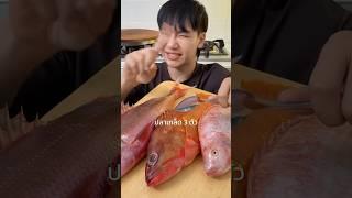 ปลาสีแดง 3 สายพันธุ์  #seafood #ugreen