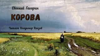 Гагарин Евгений - Корова (читает Владимир Князев)