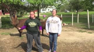 Wildwood Ranch Summer Camp Songs- The Llama Song