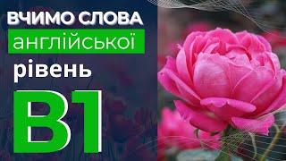 Вчимо слова англійської мови рівень В1 - Англійська слова лекго та швидко