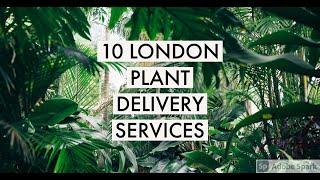 10 London Plant Delivery Services