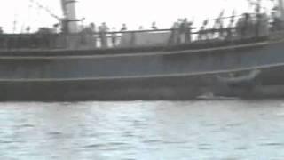 The Bounty Under Sail in Tampa Bay Florida
