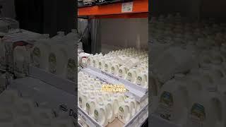 #코스트코에사야할5가지식품#계란#우유#그릭요거트#불고기#베이글