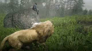 Wild Lion Games