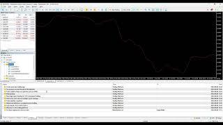 Installation Guide For MT5 Simulator