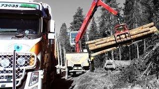 Timberman - Timber Truck Loader - Sweden