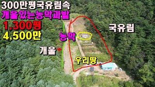 300만평국유림속 개울있는농막과싼밭/1300평/4,500만/정선부동산매매/정선토지매매