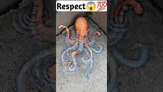 Respect