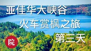 【彬彬有院】行 • 1133 亚佳华大峡谷赏枫之旅最后一天，回程经过安省著名赏枫胜地，阿岗昆省立公园，在安省什么时候是最佳赏枫季节，跟团的好处与不足,这次旅行费用详细列表/Algonquin Park