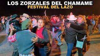 LOS ZORZALES DEL CHAMAME - FESTIVAL DEL LAZO 2024 (Concepción del Bermejo)