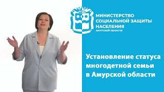 Установление статуса многодетной семьи в Амурской области