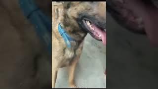 His reaction  - Omar Vlog