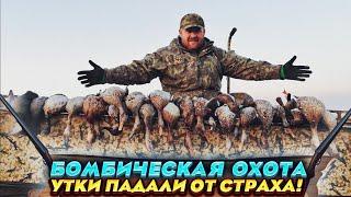 Утки падали из под небес прям в лодку! Отличная охота!