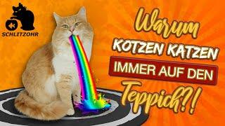 Warum IMMER auf den Teppich?! Katzen kotzten ständig auf den Teppich. Lustiges Katzenverhalten?