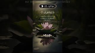 سورة التوبة آیت 33 || Surah At-Tawbah || Reciter Fozle Azim ||  #surataubah #shorts #تلاوت