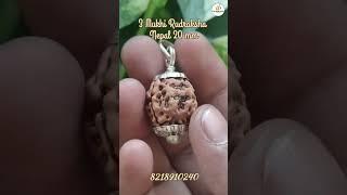3 Mukhi Rudraksha #rudraksha #astro #shiv #om #rudra #rudraksh #viral #viralvideos #shots
