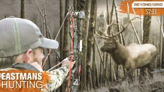 Bow Hunting BIG Bull Elk with Grizzly Bears on Your Tail!