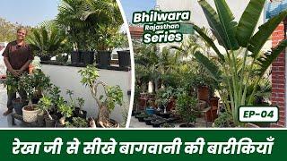 राजस्थान की रेखा जी से सीखे बागवानी की बारीकियाँ 🪴Gardening Tips for Begineers  Bhilwara EP-04