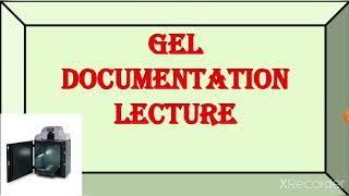 Gel Documentation System|Principle|Procedure|Working|DNA|Protein|RohitMane|@Scientistracademy