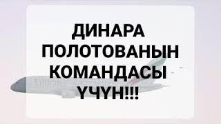 Бесплатное путешествие в Дубай 