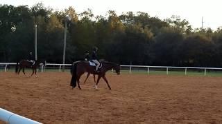 Tracy with "My Perfect Storm" at his 2nd show