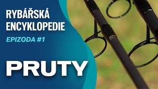 Jak vybrat prut na ryby? Tipy a druhy prutů - Rybářská encyklopedie ep. 1