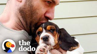 Tiny Basset Hound Puppy Gets Adopted And Meets Her New Pack | The Dodo