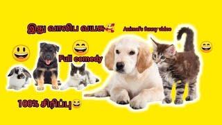 (sathiya murthi IPS) #animals#funny#comedy#video