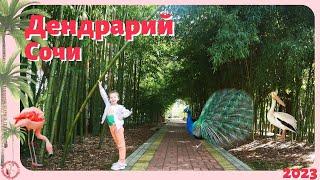 Дендрарий