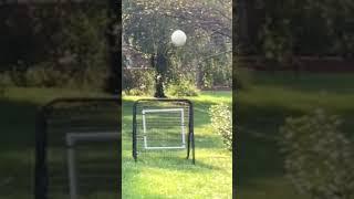 Nasty Knuckleballs! #viral #pwl #baseball #trending #sports #mlw
