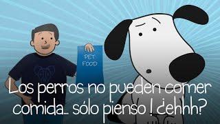 Los perros no pueden comer comida... sólo pienso ! ¿ehhh?