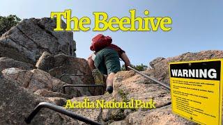 Hiking the Beehive Trail in Acadia National Park - A thrilling ascent not for the faint of heart!