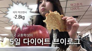 미국에서 5일 다이어트 브이로그