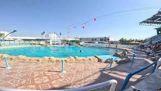 HURGHADA DOLPHIN WORLD EGIPT 2024