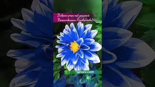 Божественное руководство #дистанционноеобучение #ранееобучение #психология #учебныйцентр