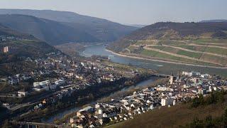 Heimat von oben: Rundflug über Bingen und Ingelheim