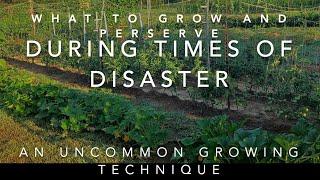 What to Grow and How to Preserve it During a Disaster, Famine, or War