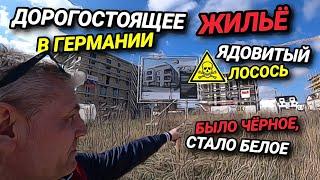 ЖИЛЬЁ В ГЕРМАНИИ. ЗАПРЕТ НА ТЕЛЕФОН. ЯДОВИТЫЙ ЛОСОСЬ. НАШЛА 15 ТЫСЯЧ.