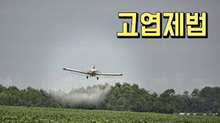 고엽제법 적용대상과 인정 범위