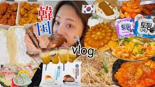 【爆食vlog】今回の旅行は何回出前する？オッパが優しすぎてまた韓国留学したくなりました。