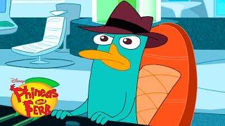 Perry's Best Moments | Compilation | Phineas and Ferb | @disneyxd