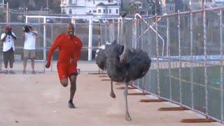 Human Vs Wild - Man races with Ostrich | Man Vs Ostrich