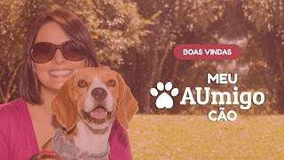 Boas Vindas ao canal Meu AUmigo Cão