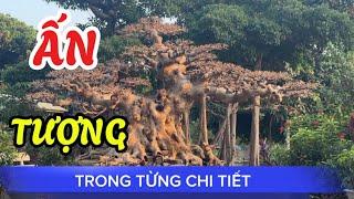 Quảng Tùng| Rất nhiều TP vừa được chỉnh sửa chia sẻ Quý vị !