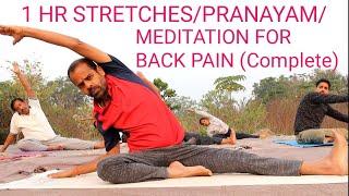 1 HR STRETCHES | PRANAYAMA | MEDITATION  FOR BACK PAIN | MORNING SWAMI VIVEKANANDA AASHRAMA YOGA