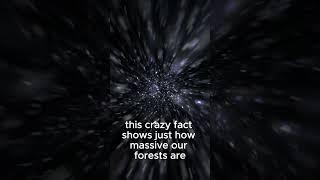 "There Are More Trees on Earth Than Stars in the Milky Way!  #facts #mindblowingfacts #funny