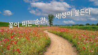 마음풍경 꽃이 있는 풍경