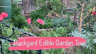 Backyard Edible Garden Tour