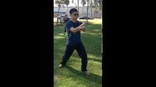 Tai chi 8  KWAN WOO PARK